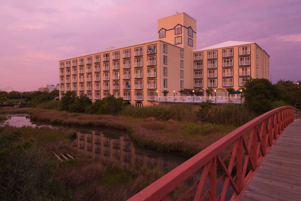Coconut Malorie Resort Hotel, Ascend Hotel Collection Ocean City Zewnętrze zdjęcie